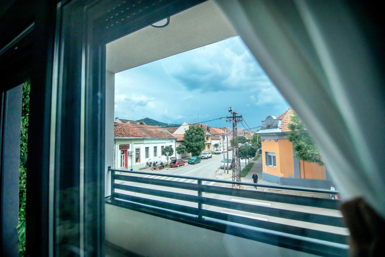 Royal Luxury Apartment Vrsac Eksteriør bilde